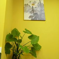  at Cisu Vegan House in Hanover