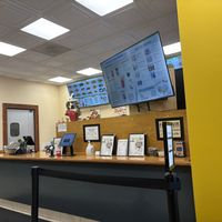 Counter  at Cisu Vegan House in Hanover