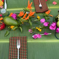  at Mabamba Lodge in Entebbe