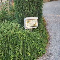  at Casa Bellavista BB in Cortona