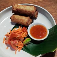 Spring rolls at Warung Umah Bali in Gianyar