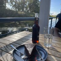 Schoko Aprikosen Kuchen   at Eisvogel in Lenzen Elbe
