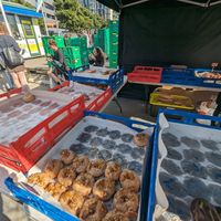 Today's selection at Dirty Donuts in Wellington