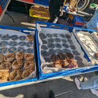 Today's selection at Dirty Donuts in Wellington