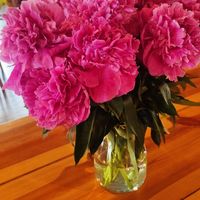  at Tawerna pod Łososiem in Gdansk