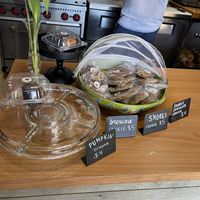 Desserts  at Vegan Deli and Butcher in St Louis