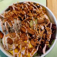 Tiger Bowl at Katzentempel - Bremen in Bremen