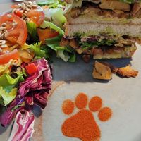  at Katzentempel - Bremen in Bremen