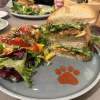   at Katzentempel - Bremen in Bremen