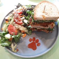 Banh Miau at Katzentempel - Bremen in Bremen