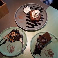  at Katzentempel - Bremen in Bremen