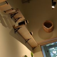  at Katzentempel - Bremen in Bremen