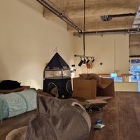  at Katzentempel - Bremen in Bremen