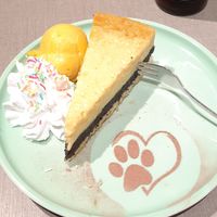  at Katzentempel - Bremen in Bremen