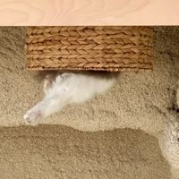 Blick nach oben at Katzentempel - Bremen in Bremen