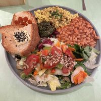 Katerfrühstück  at Katzentempel - Bremen in Bremen