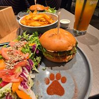  at Katzentempel - Bremen in Bremen