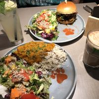   at Katzentempel - Bremen in Bremen