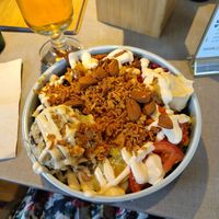 Tiger bowl at Katzentempel - Bremen in Bremen