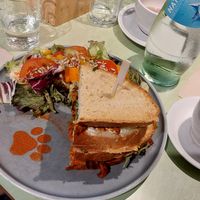  at Katzentempel - Bremen in Bremen