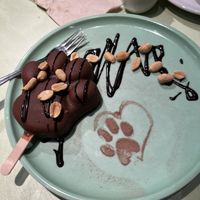   at Katzentempel - Bremen in Bremen