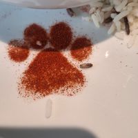  at Katzentempel - Bremen in Bremen