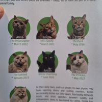  at Katzentempel - Bremen in Bremen