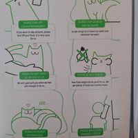  at Katzentempel - Bremen in Bremen