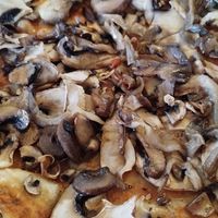 Vegan 3 mushroom pizza (no veg cheese available) at Danilo's Pizza in Eregli