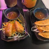 Vorspeisen: Seitan-Spieße und Gyoza at An Lac in Flensburg