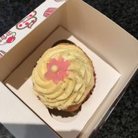 cupcake at Veggie4U in The Hague