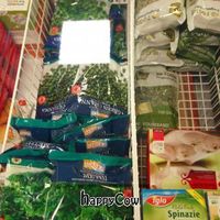 Veggie4U at Veggie4U in The Hague