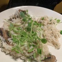 Risotto Al Funghi  at La Campagna in Bristol