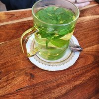  at Forest Park in Leipzig