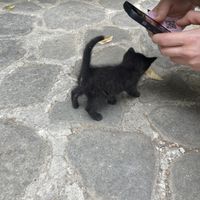   at ChikChiki Cafe • ჭიკჭიკი კაფე in Sighnaghi