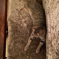  at Bisschen Beißen in Vienna