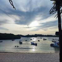 View at Kokomo Beach Bar and Restaurant in Watamu