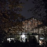  at Sera Eden in Bucharest