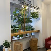   at Barista's Club in Bilbao