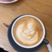   at Barista's Club in Bilbao