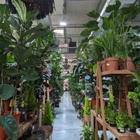 Located inside the garden centre at Harvest and Co in Dubai