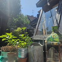  at The Barn Little London in Chichester