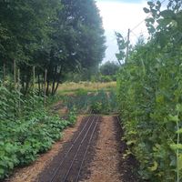 The garden at Les Jardins de Biffontaine in Biffontaine