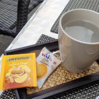 Ingwer Tee at Surang Thai in Bern