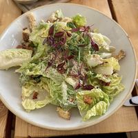   at The Green Rocket Cafe in Bath