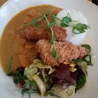  at The Green Rocket Cafe in Bath