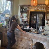 The counter  at The Green Rocket Cafe in Bath