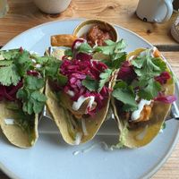 Oyster mushroom tacos at The Green Rocket Cafe in Bath