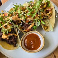Bean tacos at The Green Rocket Cafe in Bath
