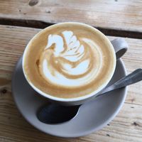 Flat white 😍 at The Green Rocket Cafe in Bath